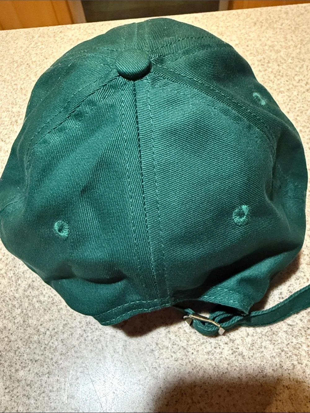 Morning Person Embroidered Green Baseball Cap AG1, NWT